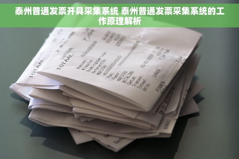 泰州普通发票开具采集系统 泰州普通发票采集系统的工作原理解析