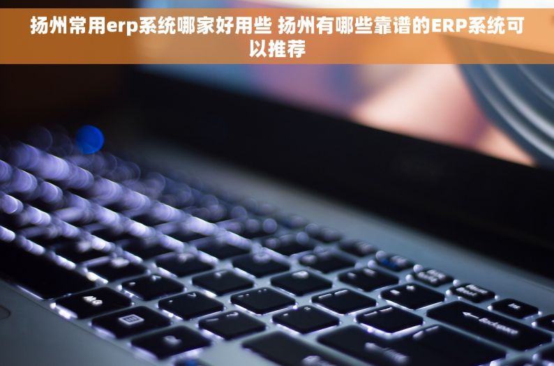 扬州常用erp系统哪家好用些 扬州有哪些靠谱的ERP系统可以推荐