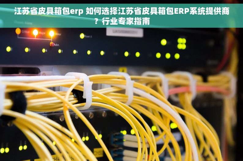 江苏省皮具箱包erp 如何选择江苏省皮具箱包ERP系统提供商？行业专家指南