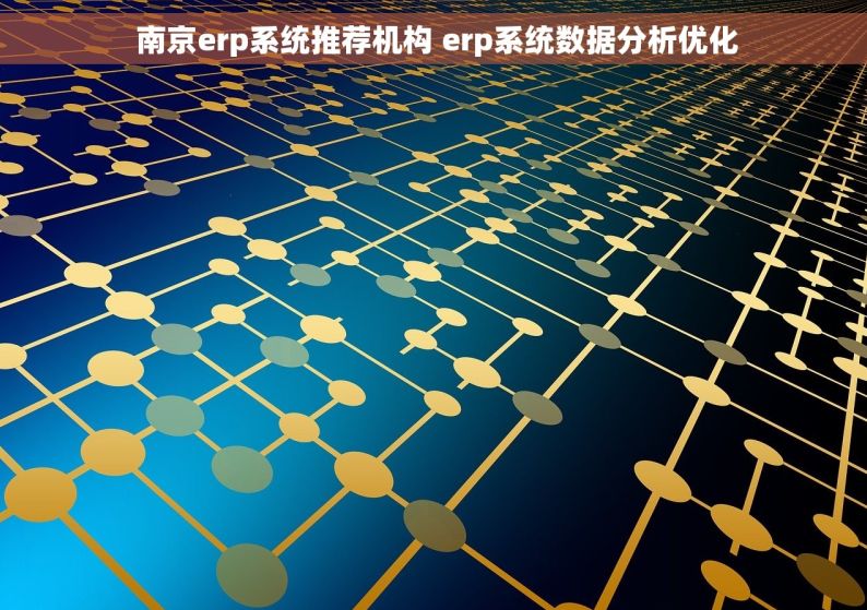  南京erp系统推荐机构 erp系统数据分析优化