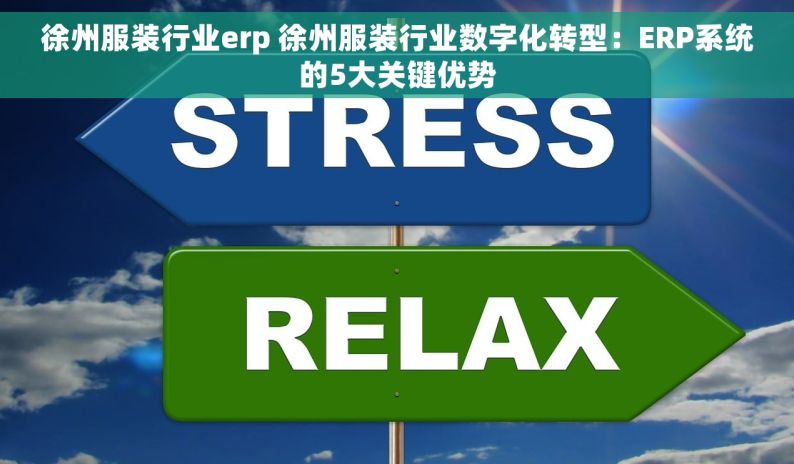 徐州服装行业erp 徐州服装行业数字化转型：ERP系统的5大关键优势