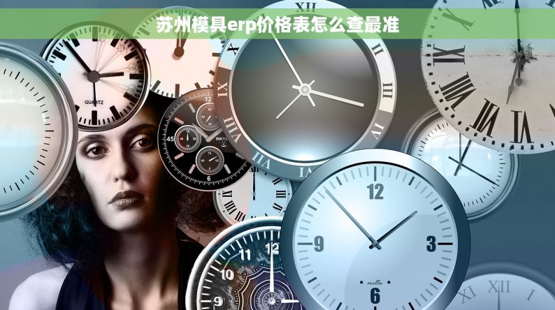 苏州模具erp价格表怎么查最准