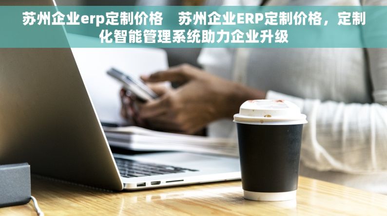 苏州企业erp定制价格    苏州企业ERP定制价格，定制化智能管理系统助力企业升级