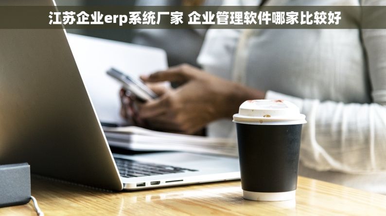  江苏企业erp系统厂家 企业管理软件哪家比较好