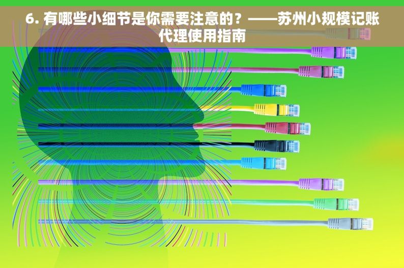 6. 有哪些小细节是你需要注意的？——苏州小规模记账代理使用指南