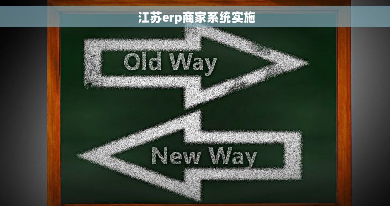  江苏erp商家系统实施