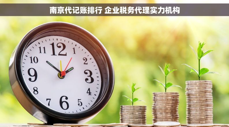 南京代记账排行 企业税务代理实力机构