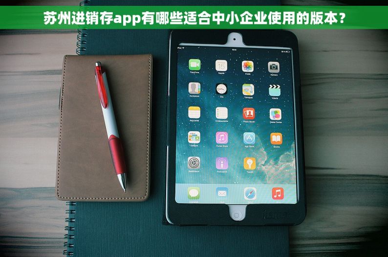 苏州进销存app有哪些适合中小企业使用的版本？