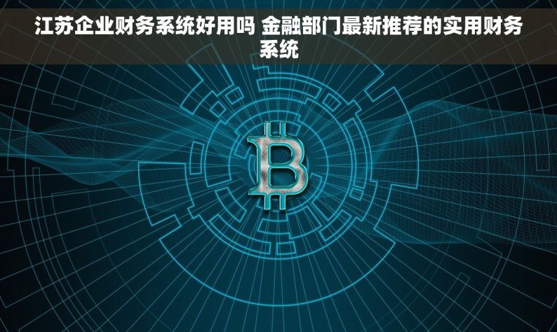 江苏企业财务系统好用吗 金融部门最新推荐的实用财务系统