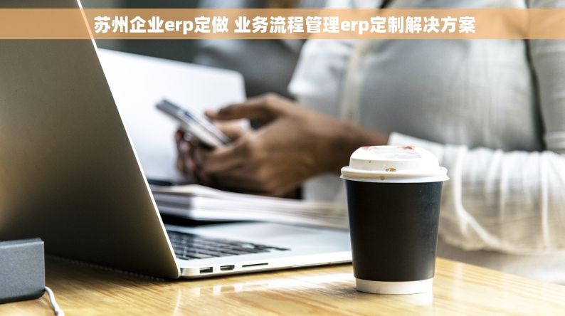  苏州企业erp定做 业务流程管理erp定制解决方案