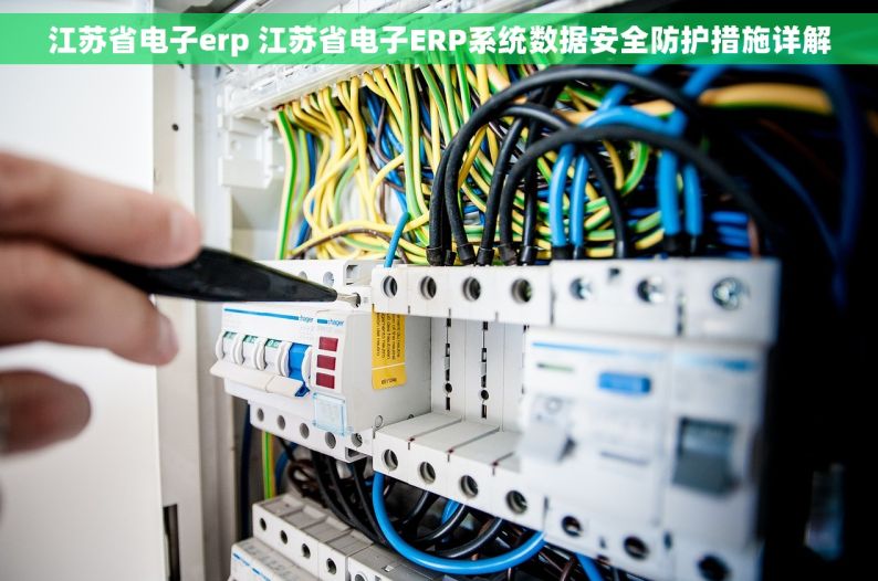 江苏省电子erp 江苏省电子ERP系统数据安全防护措施详解