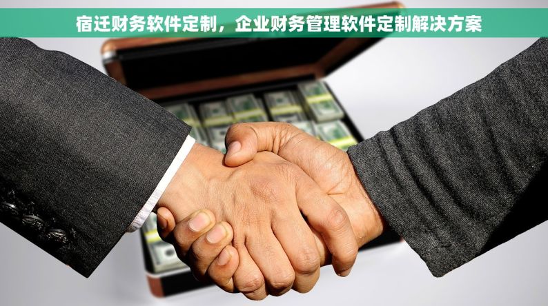   宿迁财务软件定制，企业财务管理软件定制解决方案