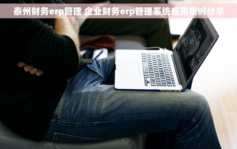 泰州财务erp管理 企业财务erp管理系统应用案例分享