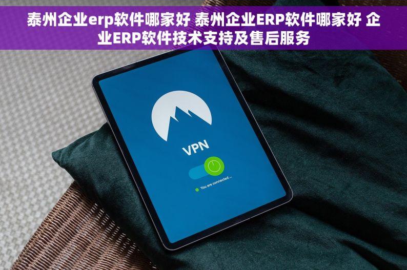 泰州企业erp软件哪家好 泰州企业ERP软件哪家好 企业ERP软件技术支持及售后服务