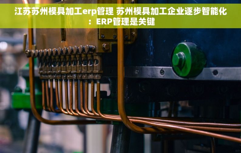 江苏苏州模具加工erp管理 苏州模具加工企业逐步智能化：ERP管理是关键