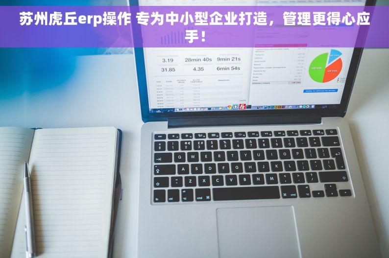 苏州虎丘erp操作 专为中小型企业打造，管理更得心应手！