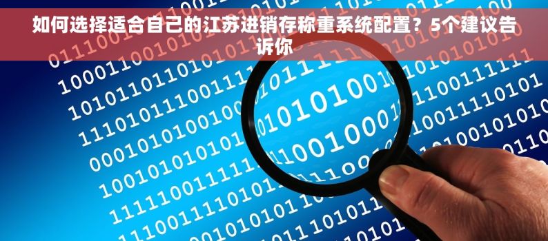 如何选择适合自己的江苏进销存称重系统配置？5个建议告诉你