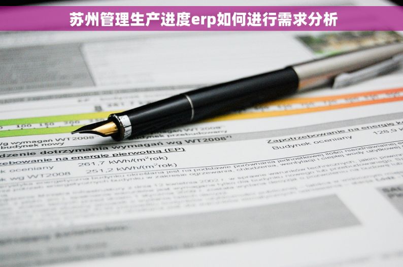  苏州管理生产进度erp如何进行需求分析