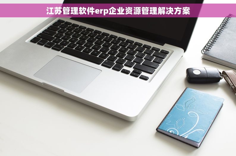 江苏管理软件erp企业资源管理解决方案