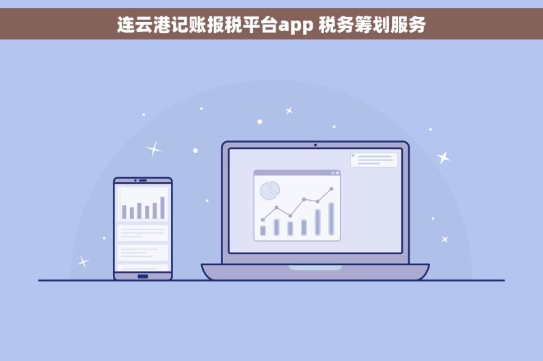 连云港记账报税平台app 税务筹划服务