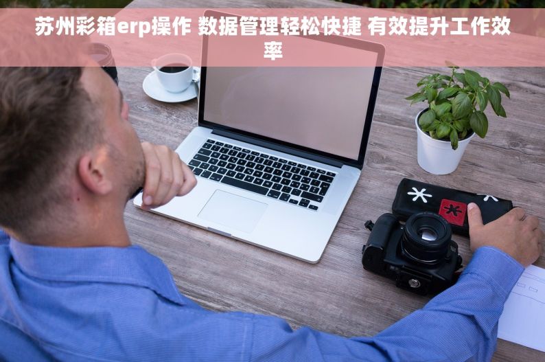 苏州彩箱erp操作 数据管理轻松快捷 有效提升工作效率