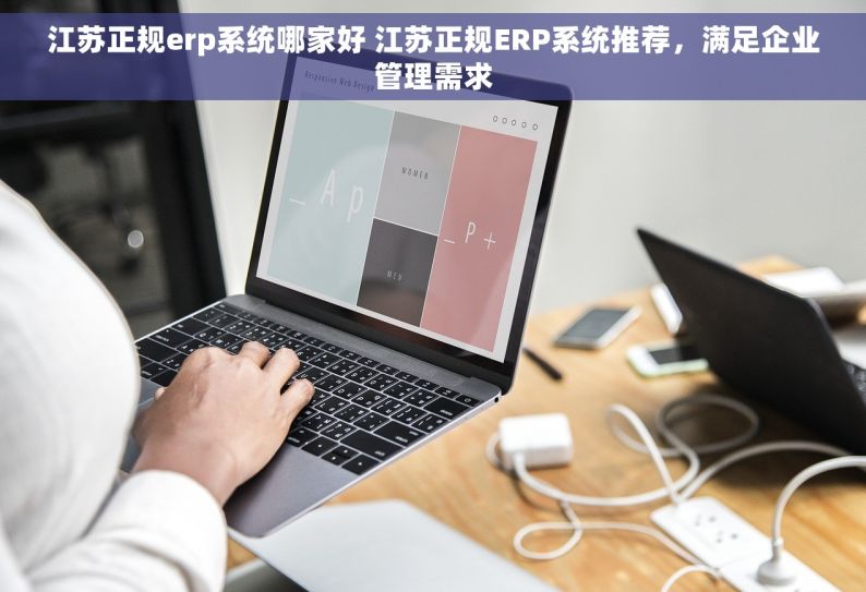 江苏正规erp系统哪家好 江苏正规ERP系统推荐，满足企业管理需求