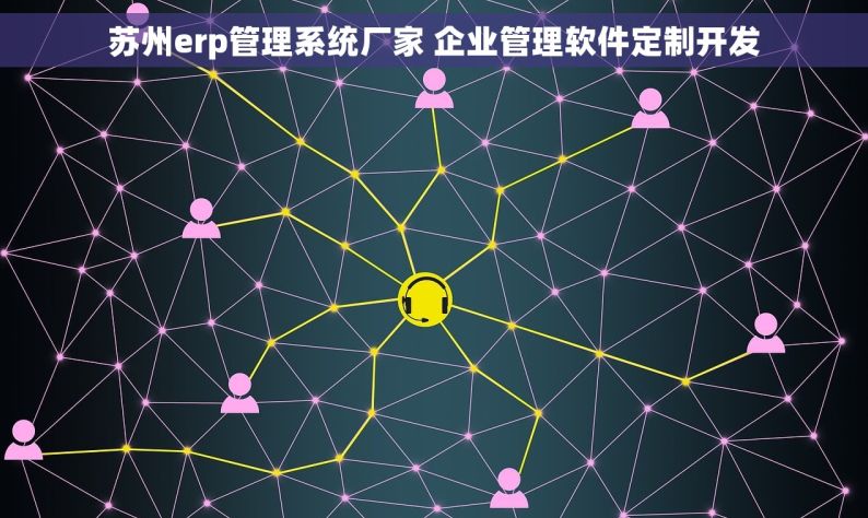 苏州erp管理系统厂家 企业管理软件定制开发