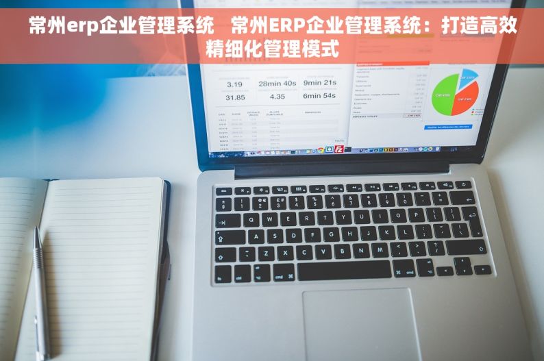 常州erp企业管理系统   常州ERP企业管理系统：打造高效精细化管理模式