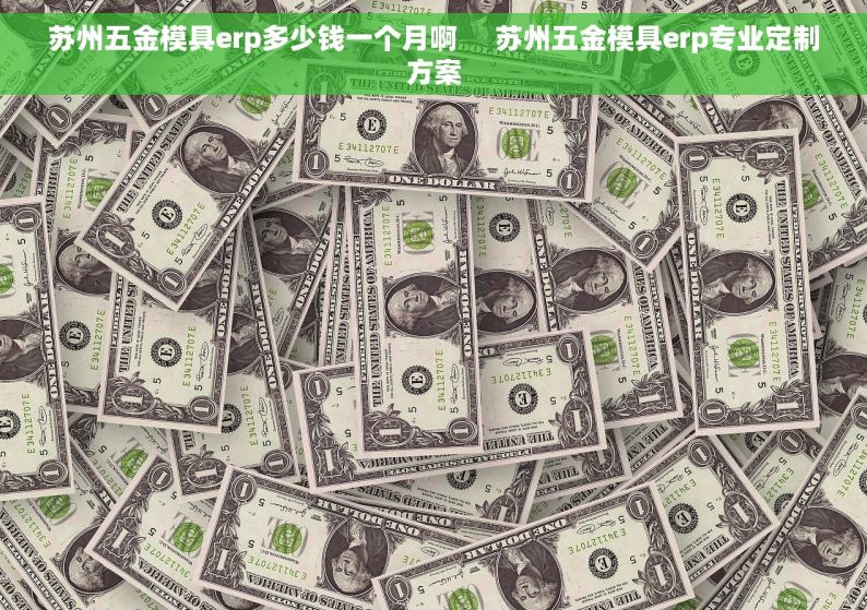 苏州五金模具erp多少钱一个月啊     苏州五金模具erp专业定制方案