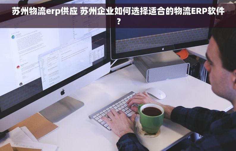 苏州物流erp供应 苏州企业如何选择适合的物流ERP软件？