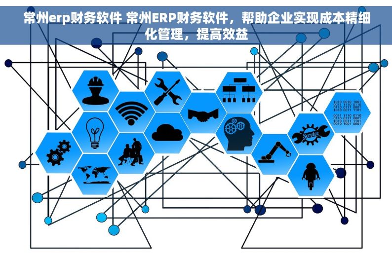 常州erp财务软件 常州ERP财务软件，帮助企业实现成本精细化管理，提高效益