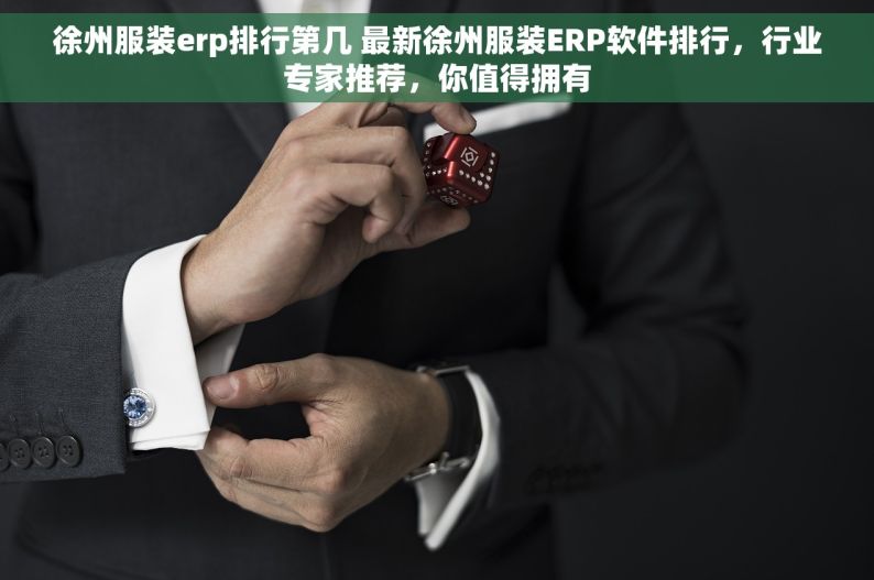 徐州服装erp排行第几 最新徐州服装ERP软件排行，行业专家推荐，你值得拥有