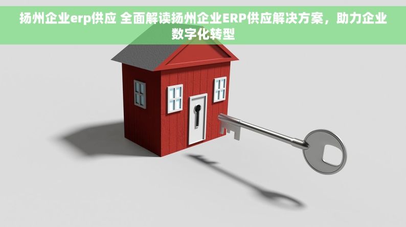 扬州企业erp供应 全面解读扬州企业ERP供应解决方案，助力企业数字化转型