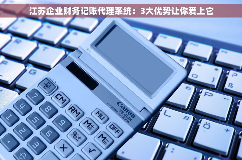 江苏企业财务记账代理系统：3大优势让你爱上它