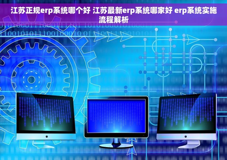 江苏正规erp系统哪个好 江苏最新erp系统哪家好 erp系统实施流程解析