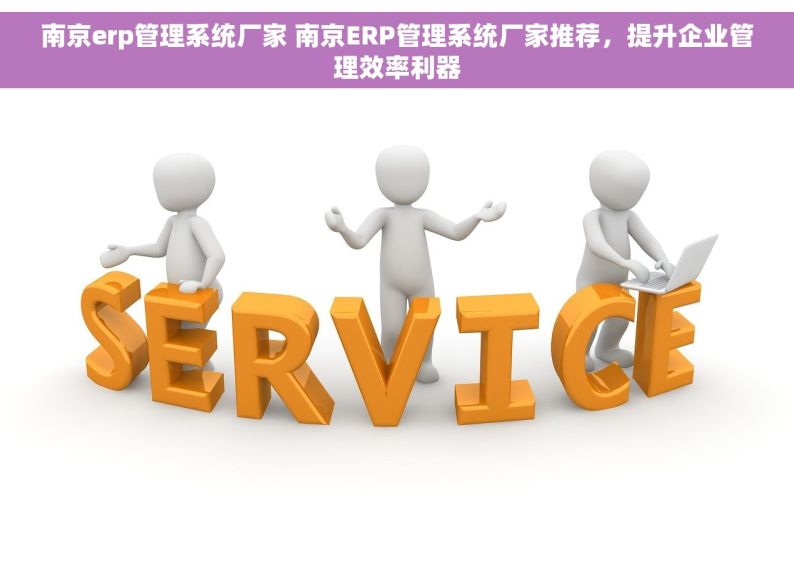 南京erp管理系统厂家 南京ERP管理系统厂家推荐，提升企业管理效率利器