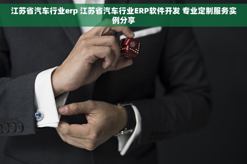 江苏省汽车行业erp 江苏省汽车行业ERP软件开发 专业定制服务实例分享