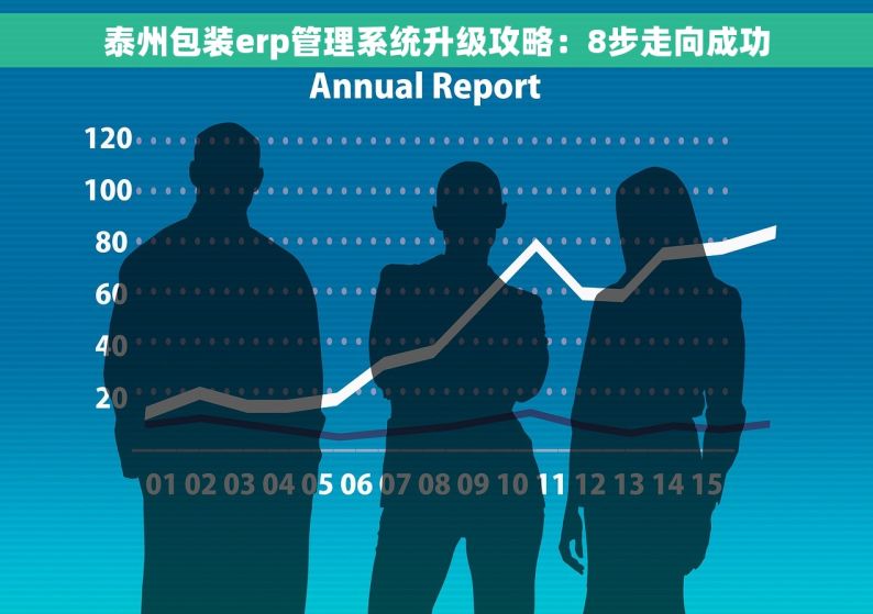 泰州包装erp管理系统升级攻略：8步走向成功