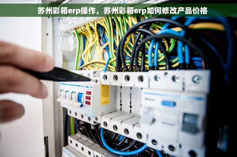     苏州彩箱erp操作，苏州彩箱erp如何修改产品价格