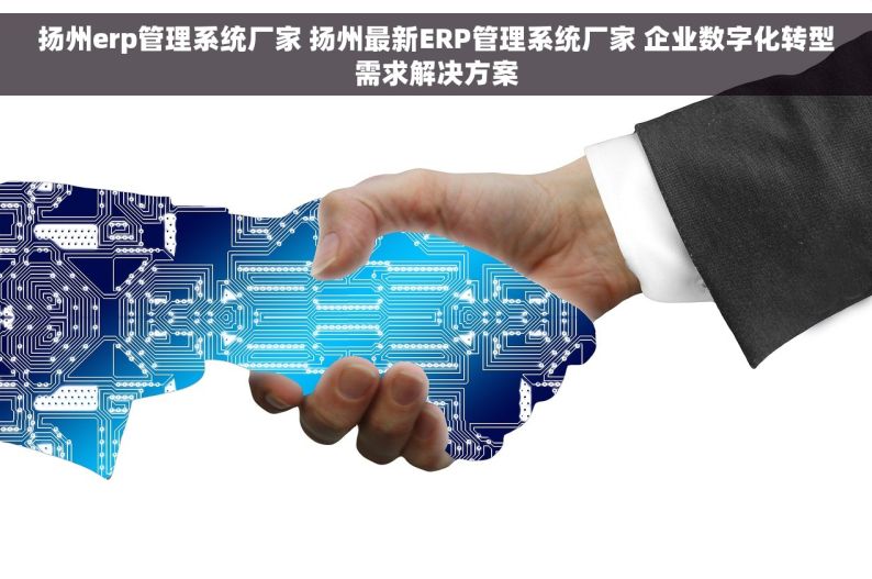 扬州erp管理系统厂家 扬州最新ERP管理系统厂家 企业数字化转型需求解决方案