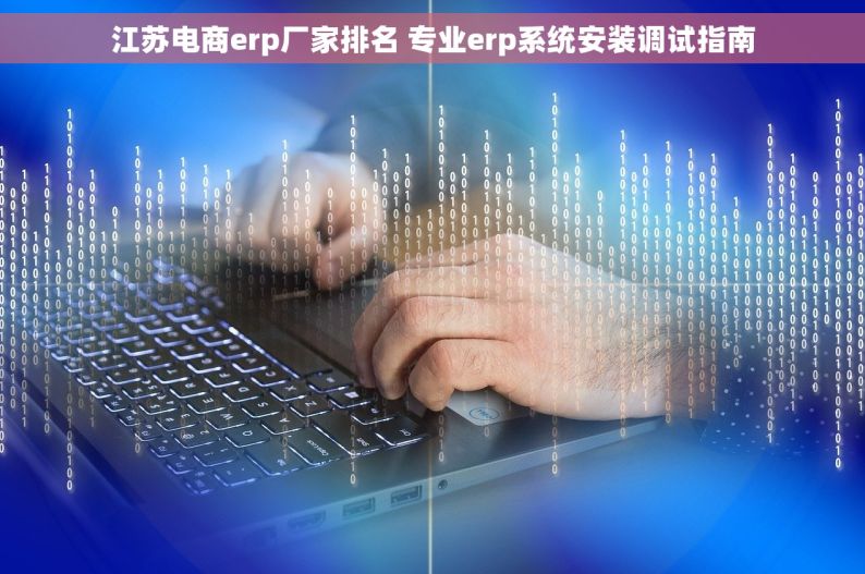 江苏电商erp厂家排名 专业erp系统安装调试指南