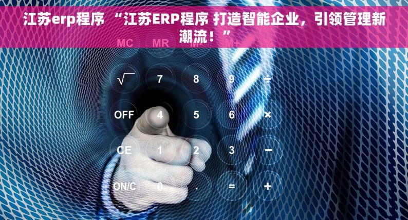 江苏erp程序 “江苏ERP程序 打造智能企业，引领管理新潮流！”