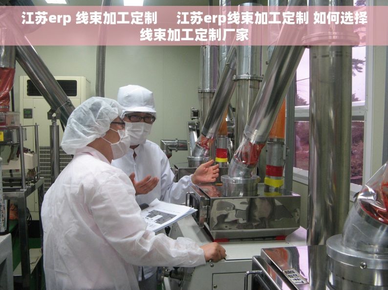 江苏erp 线束加工定制     江苏erp线束加工定制 如何选择线束加工定制厂家