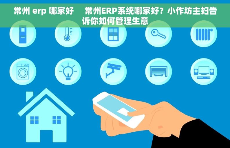 常州 erp 哪家好     常州ERP系统哪家好？小作坊主妇告诉你如何管理生意