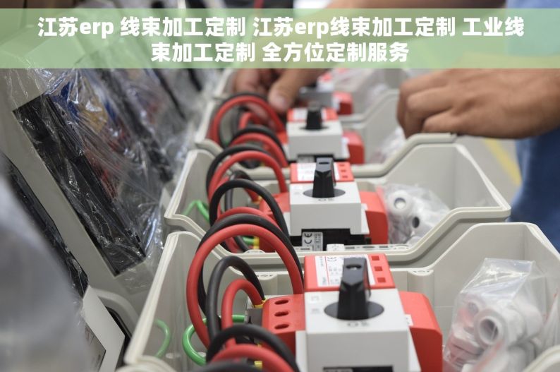 江苏erp 线束加工定制 江苏erp线束加工定制 工业线束加工定制 全方位定制服务