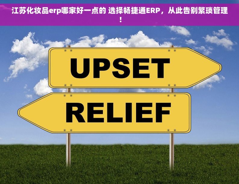 江苏化妆品erp哪家好一点的 选择畅捷通ERP，从此告别繁琐管理！