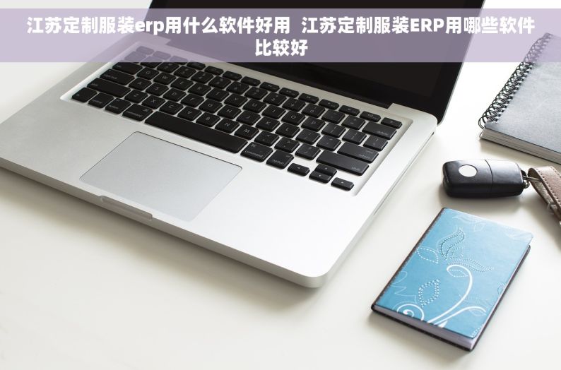 江苏定制服装erp用什么软件好用  江苏定制服装ERP用哪些软件比较好