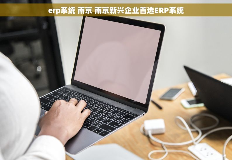 erp系统 南京 南京新兴企业首选ERP系统