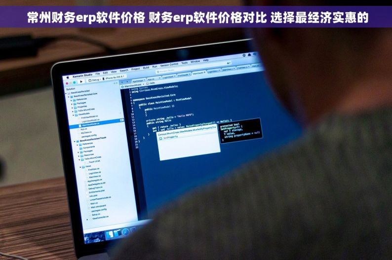  常州财务erp软件价格 财务erp软件价格对比 选择最经济实惠的